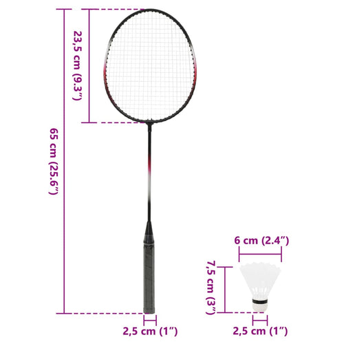 Badmintonset med 2 racketar, nät och förvaring 292x30x152 cm